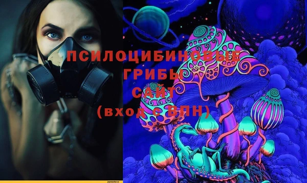 герыч Елабуга