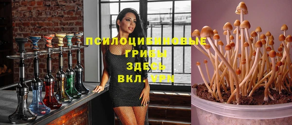 MDMA Ельня